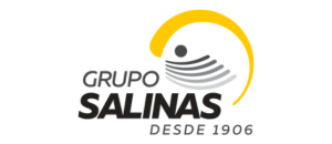 Grupo Salinas